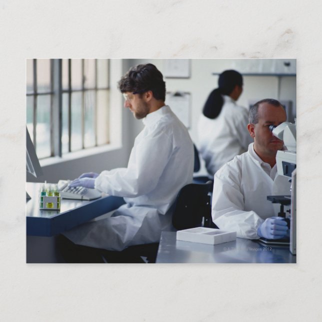 Chemists Working in a Laboratory Postcard (Front)