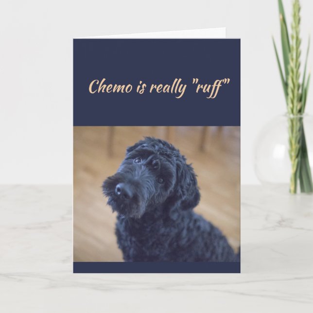 Chemo is Ruff  Cute Black Curly Dog Pet Card (Front)
