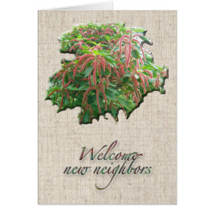 Chenille Plant Welcome Neighbour Card