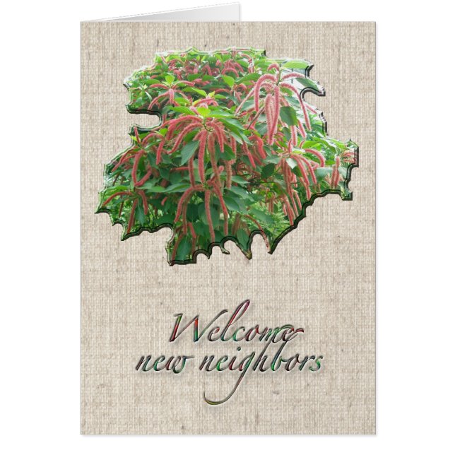 Chenille Plant Welcome Neighbour Card (Front)