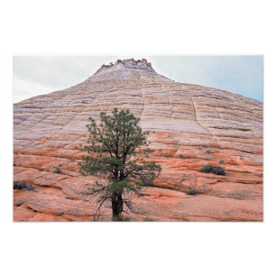 Chequerboard Mesa Zion National Park Photo Print