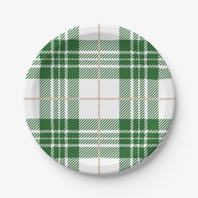 Chequered pattern paper plate (Front)