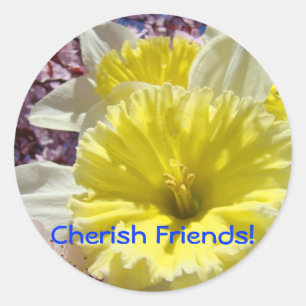 Cherish Friends! stickers Spring Flowers Daffodils
