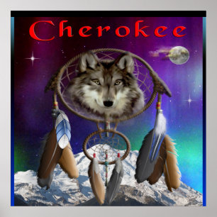 Cherokee nation poster