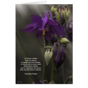 Cherokee Prayer, Columbine in the Sunlight