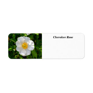 Cherokee Rose Flower  Return Address Label