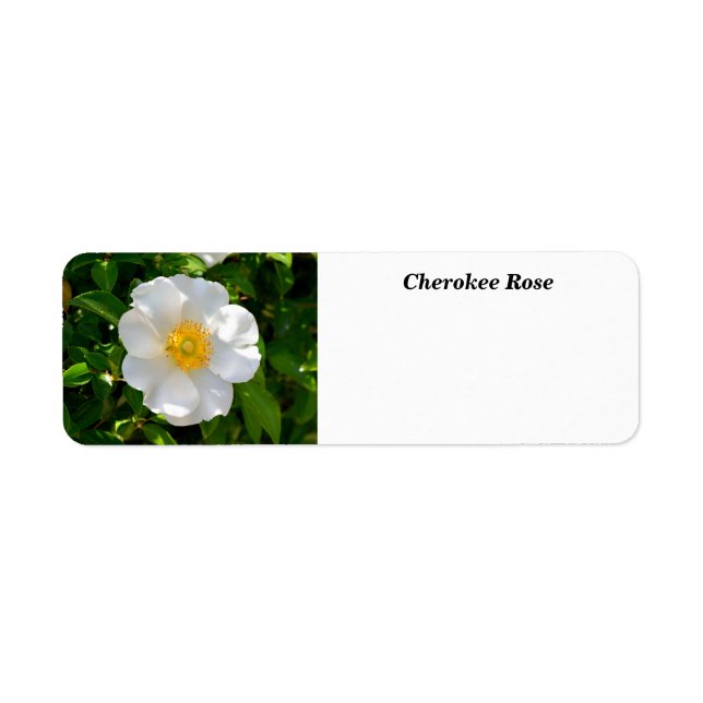 Cherokee Rose Flower  Return Address Label (Front)