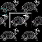 Cherokee Turtle in Hat