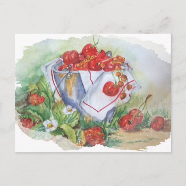 CHERRIES AND STRAWBERRIES IN A IRON RUSTY BUCKET POSTCARD (Front)