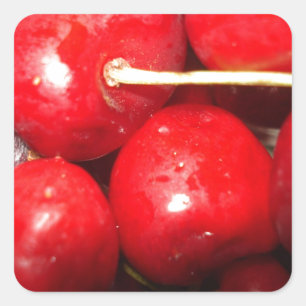 Cherries Art Photo Square Sticker
