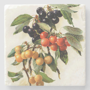 Cherries Botanical Print Square Stone Coaster