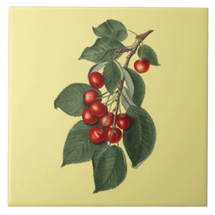 Cherries ~ Botanical Tile ~ Kitchen ~ Any Colour ~
