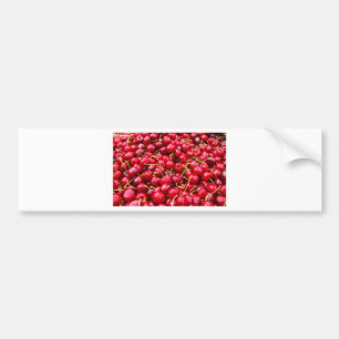 Cherries Bumper Sticker