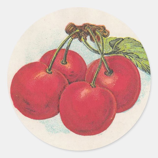 Cherries Classic Round Sticker (Front)