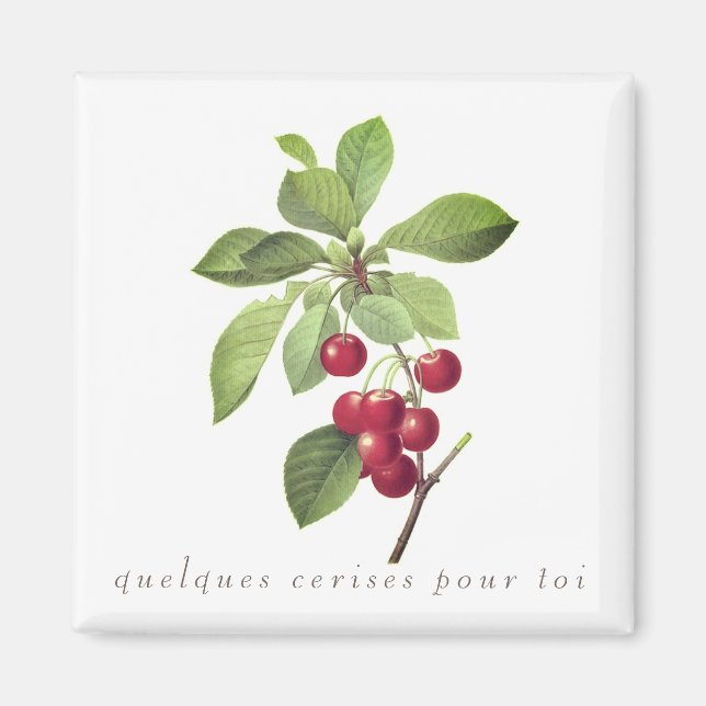 Cherries for you magnet (Front)