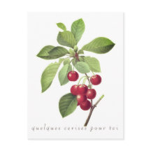 Cherries for you Postcard