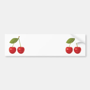 CHERRIES ON STEM BUMPER STICKER