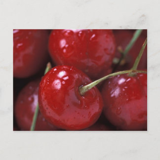 CHERRIES POSTCARD