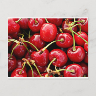 Cherries Postcard