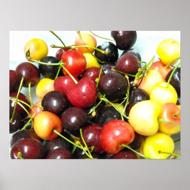 Cherries Poster (Front)