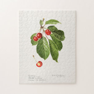 Cherries (Prunus Avium) Fruit Watercolor Painting Jigsaw Puzzle