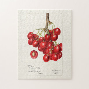 Cherries (Prunus Avium) Fruit Watercolor Painting Jigsaw Puzzle
