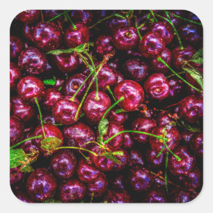Cherries Square Sticker