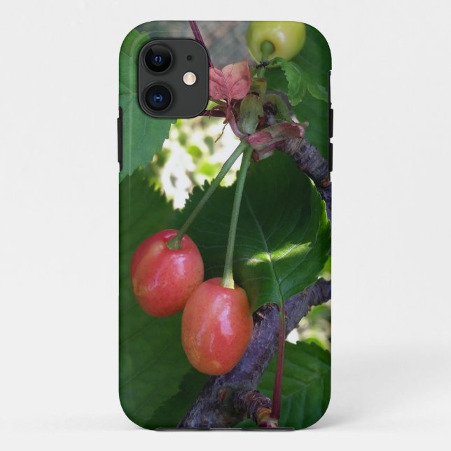Cherries turning red Case-Mate iPhone case (Back)