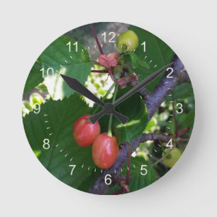 Cherries turning red round clock