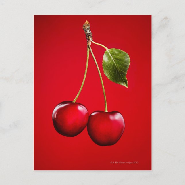 Cherries with Leaf on Red Background Postcard (Front)