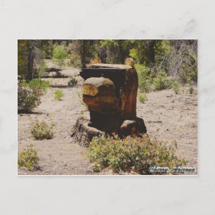 Cherry, Arizona Postcard