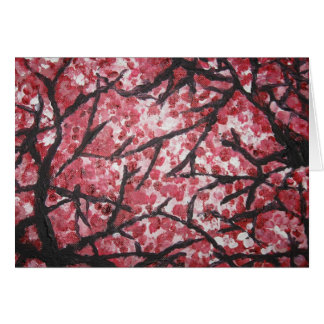 cherry blossom