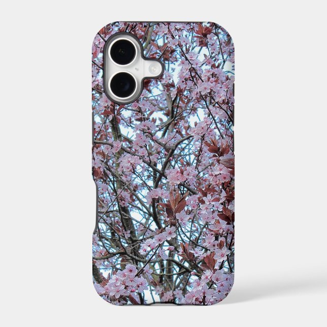 Cherry Blossom (Back)