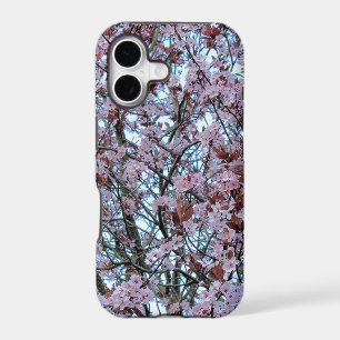 Cherry Blossom