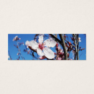 Cherry Blossom 2 Bookmark