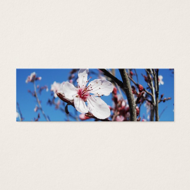 Cherry Blossom 2 Bookmark (Front)