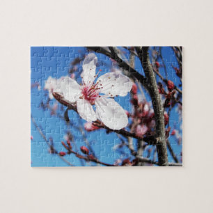 Cherry Blossom 2 Jigsaw Puzzle