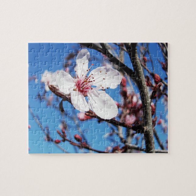 Cherry Blossom 2 Jigsaw Puzzle (Horizontal)