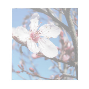 Cherry Blossom 2 Notepad