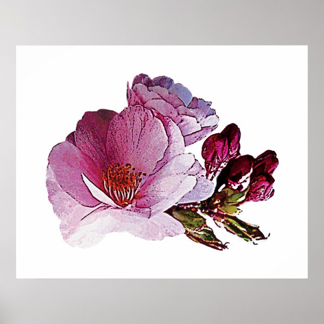 Cherry Blossom and Bud Poster (Front)