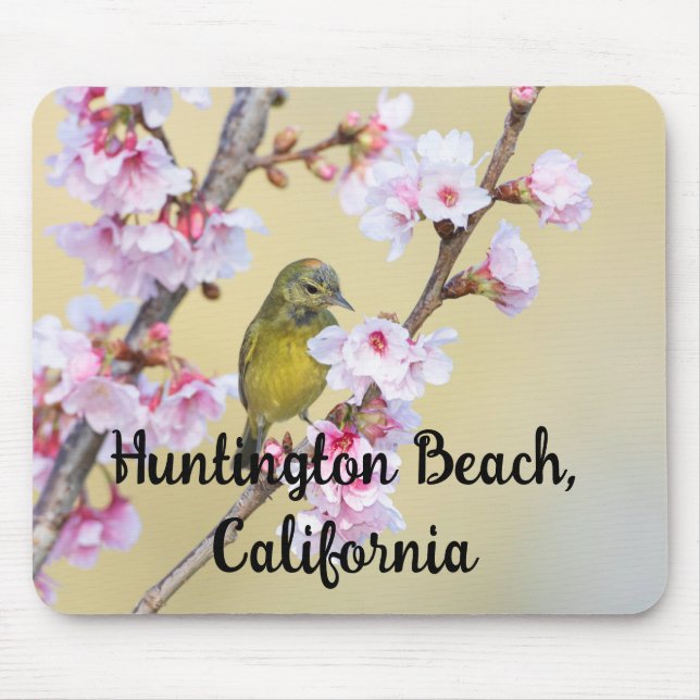 Cherry Blossom and Warbler, Huntington Beach CA Mouse Pad (Front)