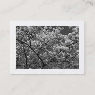 Cherry Blossom B&W (Bordered) Business Card