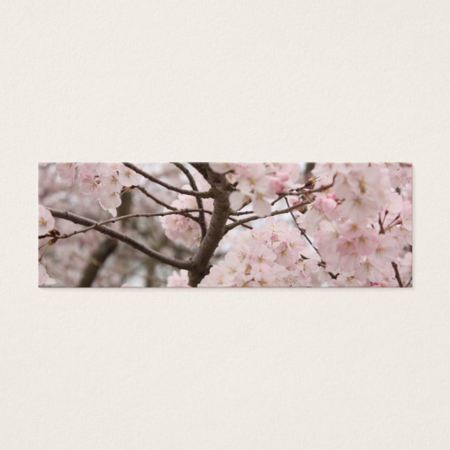 Cherry Blossom Bookmark (Front)