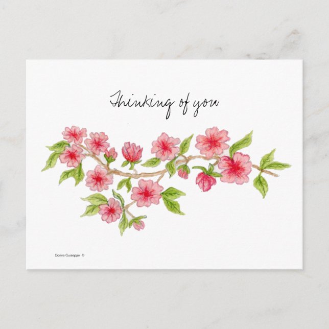 Cherry Blossom branch Postcard (Front)