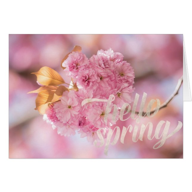Cherry Blossom Branch Spring Text (Front Horizontal)