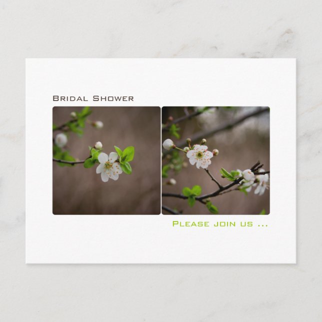 Cherry Blossom • Bridal Shower Invitation Postcard (Front)