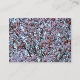 Cherry Blossom Business Card