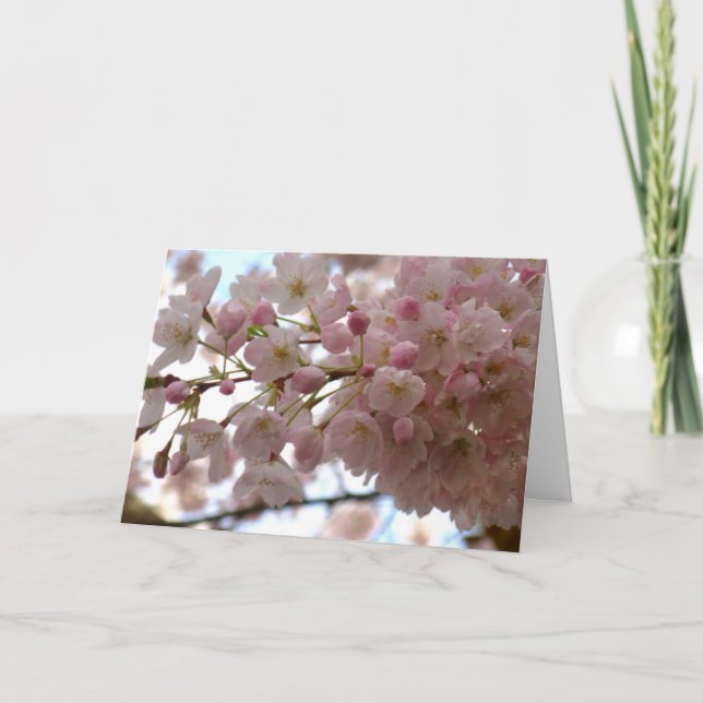 Cherry Blossom Card White Blossom Card Personalise (Front)