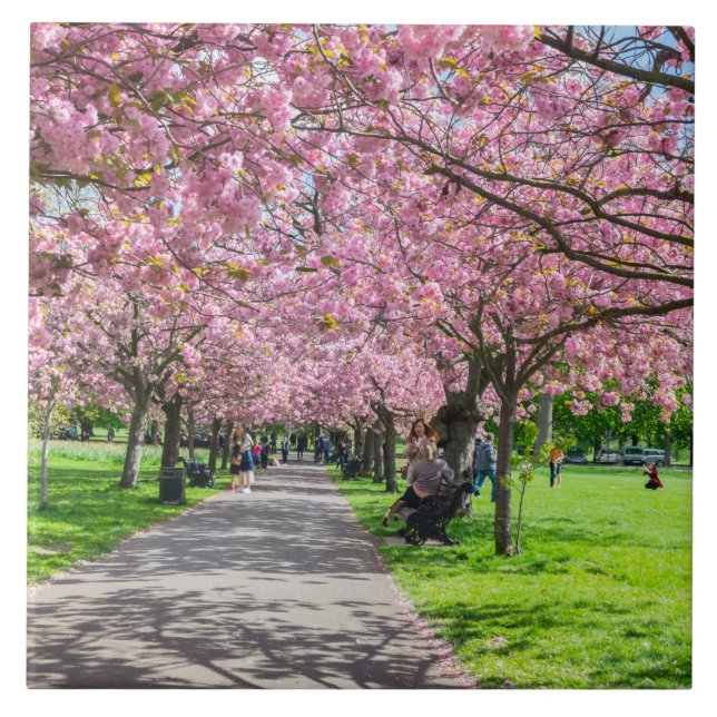 Cherry blossom ceramic tile (Front)
