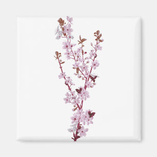 Cherry Blossom Cherry Tree 2 Magnet
